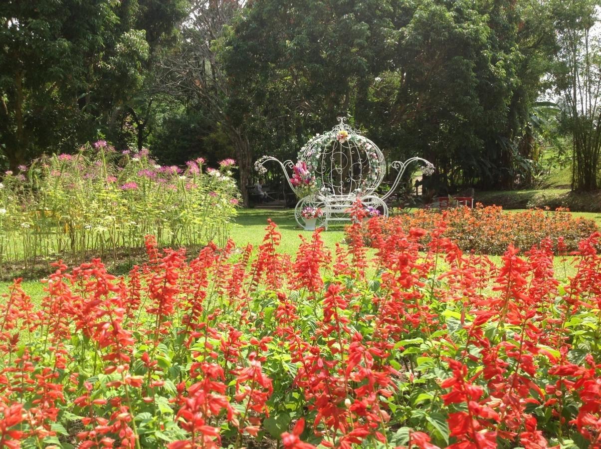 Mae Sa Valley Garden Resort Ban Mae Mae Buitenkant foto