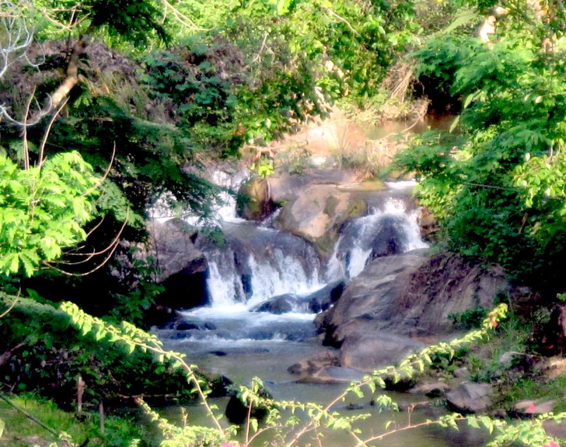 Mae Sa Valley Garden Resort Ban Mae Mae Buitenkant foto